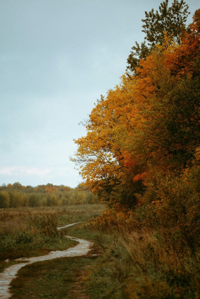 No September Scaries In Sight